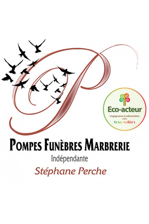 PFM - Stéphane PERCHE